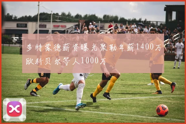 多特蒙德薪资曝光聚勒年薪1400万欧科贝尔等人1000万