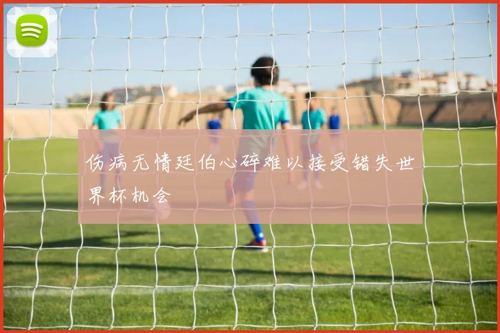 伤病无情廷伯心碎难以接受错失世界杯机会