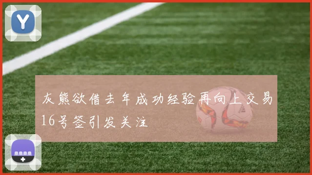 灰熊欲借去年成功经验再向上交易16号签引发关注